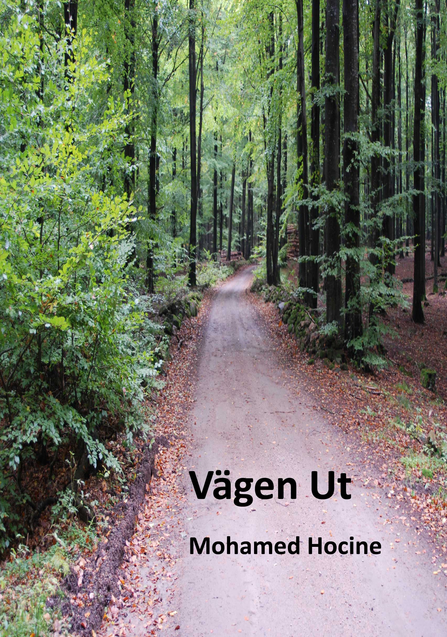 Vagen ut